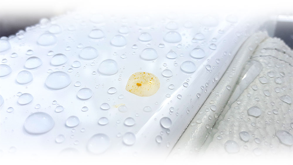 DNA-About-self-cleaning-img